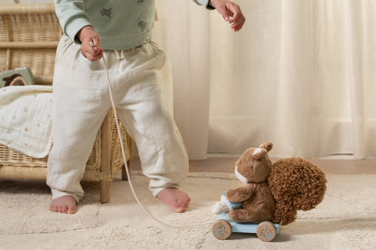 Мека Играчка за Дърпане Катеричка Forest Friends